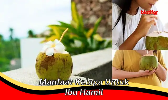 manfaat kelapa untuk ibu hamil