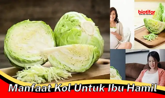 Temukan Manfaat Kol untuk Ibu Hamil Jarang Diketahui!