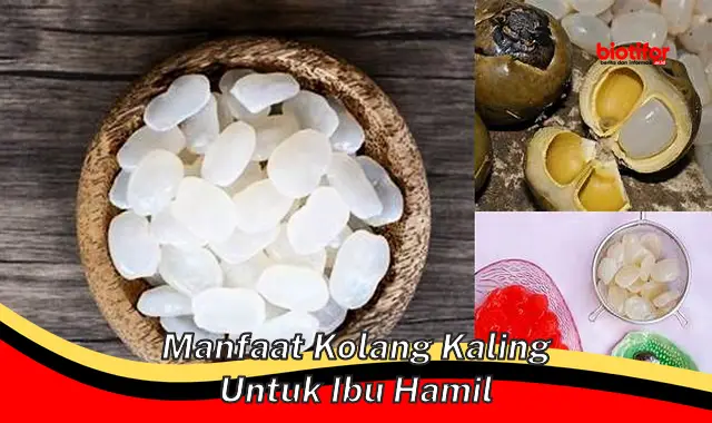 manfaat kolang kaling untuk ibu hamil