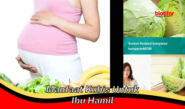 manfaat kubis untuk ibu hamil