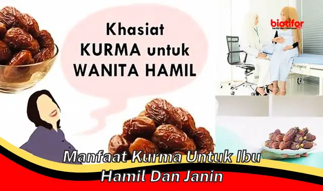 manfaat kurma untuk ibu hamil dan janin