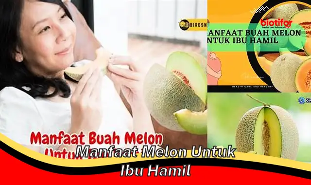 manfaat melon untuk ibu hamil