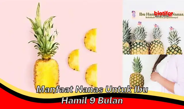 Temukan Beragam Manfaat Nanas untuk Ibu Hamil 9 Bulan yang Jarang Diketahui