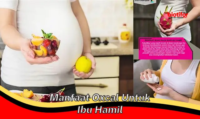 Temukan Manfaat Oxcal yang Jarang Diketahui Ibu Hamil