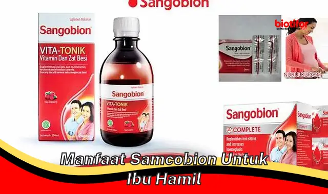 manfaat samcobion untuk ibu hamil