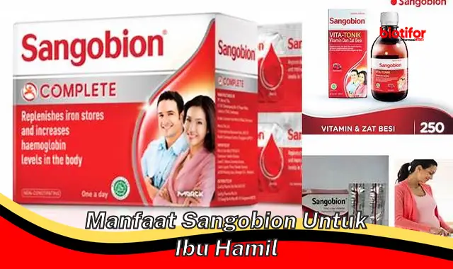 manfaat sangobion untuk ibu hamil