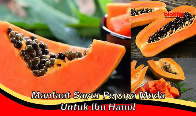 manfaat sayur pepaya muda untuk ibu hamil