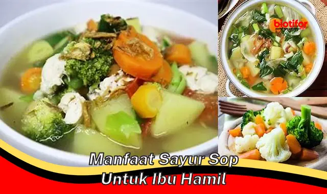 Temukan Manfaat Sayur Sop untuk Ibu Hamil yang Jarang Diketahui