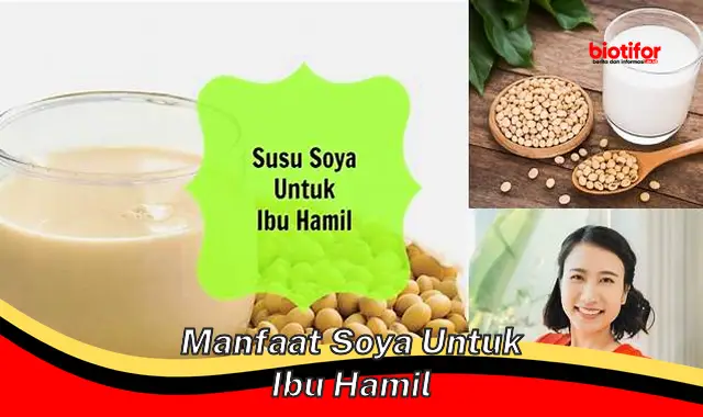 manfaat soya untuk ibu hamil