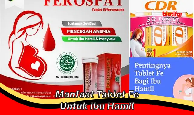 manfaat tablet fe untuk ibu hamil