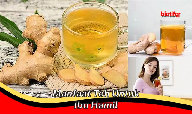 manfaat teh untuk ibu hamil