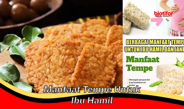 manfaat tempe untuk ibu hamil