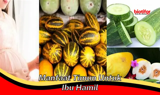 manfaat timun untuk ibu hamil