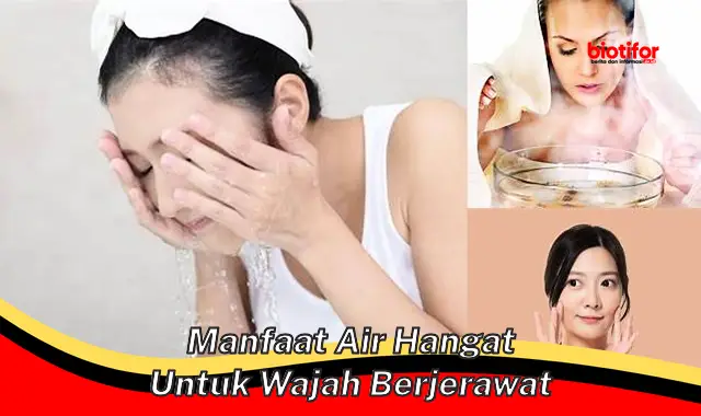 manfaat air hangat untuk wajah berjerawat