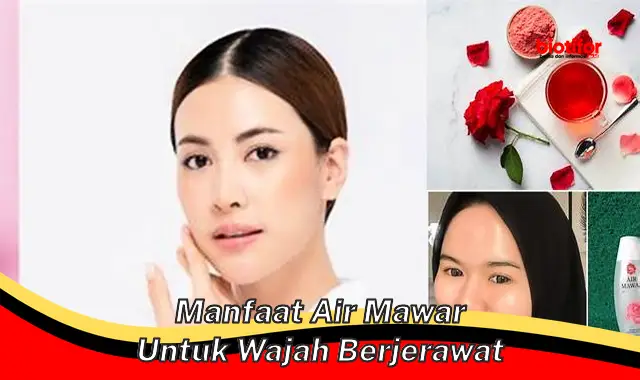 manfaat air mawar untuk wajah berjerawat