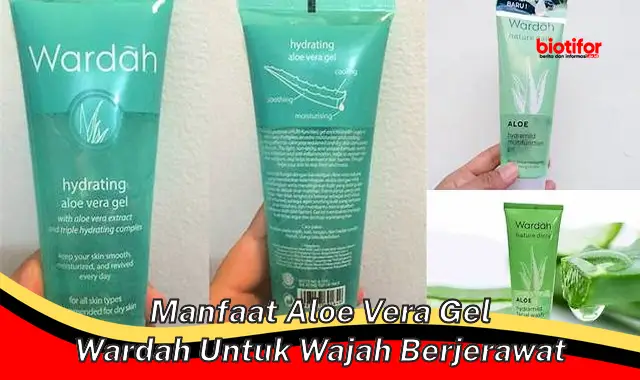 manfaat aloe vera gel wardah untuk wajah berjerawat