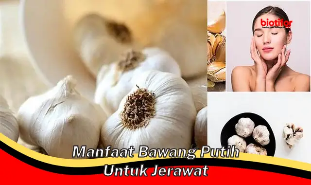 manfaat bawang putih untuk jerawat