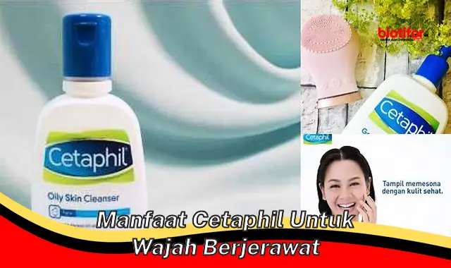 manfaat cetaphil untuk wajah berjerawat