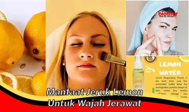 manfaat jeruk lemon untuk wajah jerawat