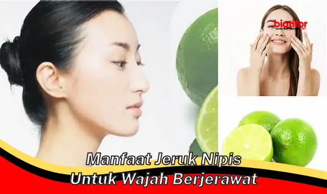 manfaat jeruk nipis untuk wajah berjerawat