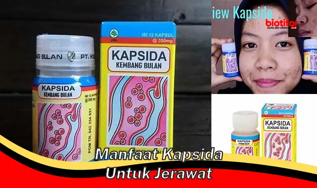 manfaat kapsida untuk jerawat