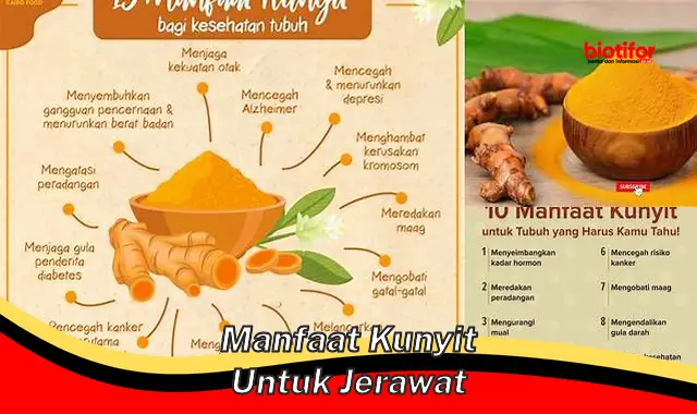 manfaat kunyit untuk jerawat