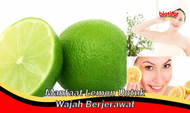 manfaat lemon untuk wajah berjerawat