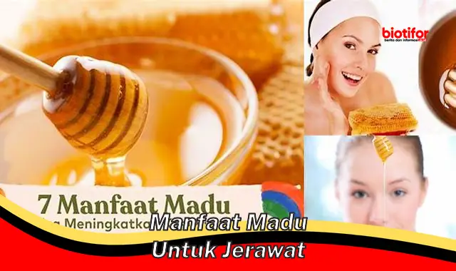 manfaat madu untuk jerawat