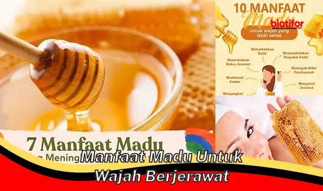 manfaat madu untuk wajah berjerawat