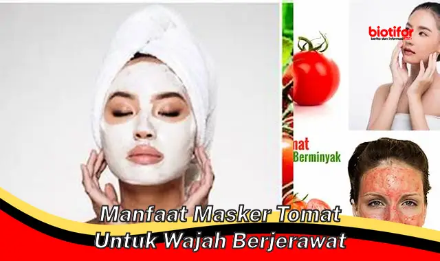 manfaat masker tomat untuk wajah berjerawat