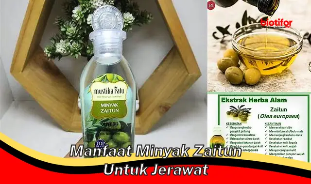 manfaat minyak zaitun untuk jerawat