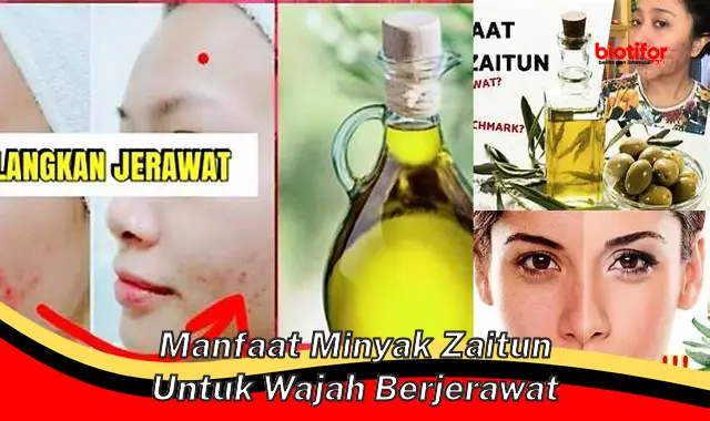 manfaat minyak zaitun untuk wajah berjerawat