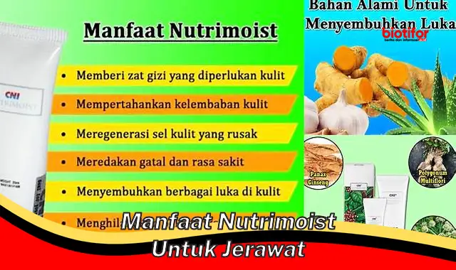 manfaat nutrimoist untuk jerawat