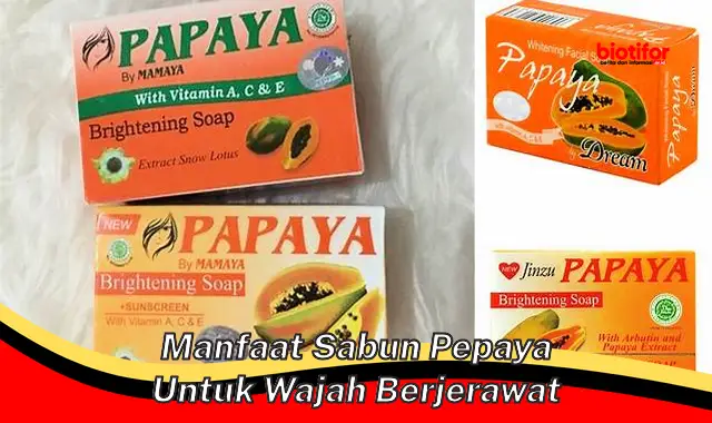 manfaat sabun pepaya untuk wajah berjerawat