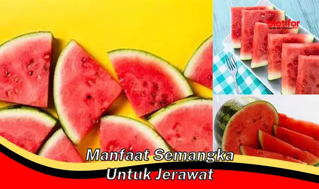 manfaat semangka untuk jerawat