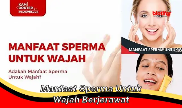 manfaat sperma untuk wajah berjerawat