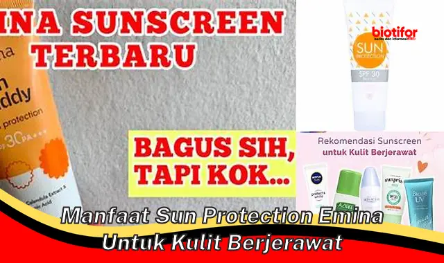 manfaat sun protection emina untuk kulit berjerawat