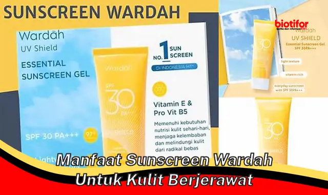 manfaat sunscreen wardah untuk kulit berjerawat