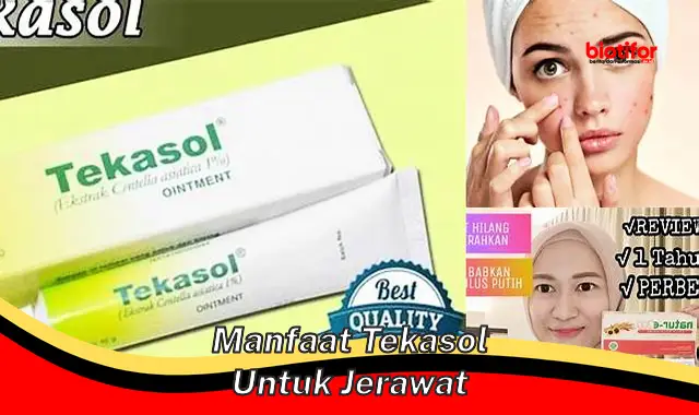 manfaat tekasol untuk jerawat