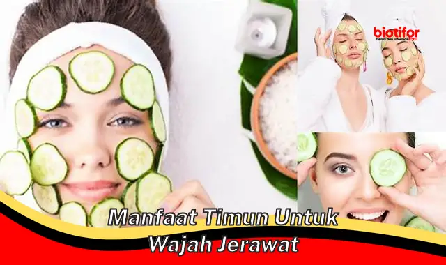 manfaat timun untuk wajah jerawat