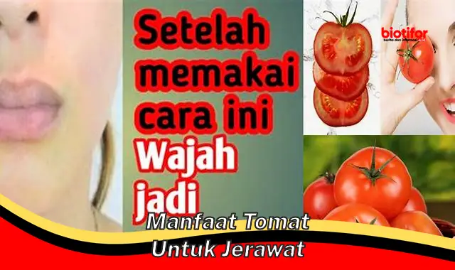 manfaat tomat untuk jerawat