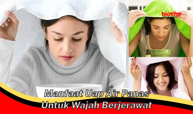 manfaat uap air panas untuk wajah berjerawat