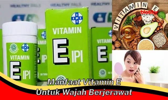 manfaat vitamin e untuk wajah berjerawat