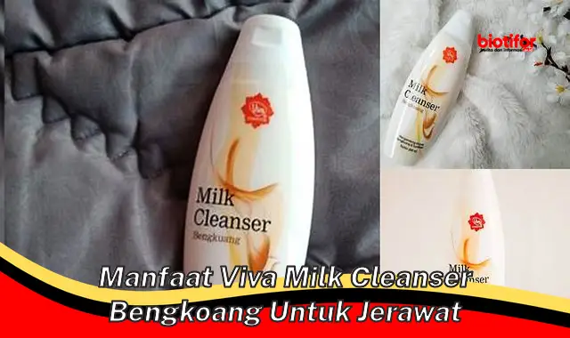 manfaat viva milk cleanser bengkoang untuk jerawat