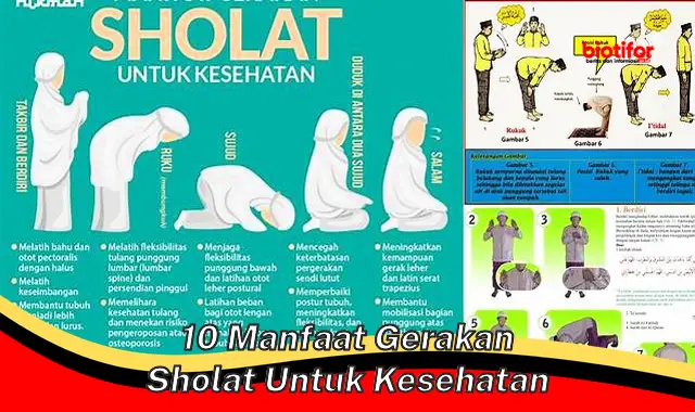 10 manfaat gerakan sholat untuk kesehatan