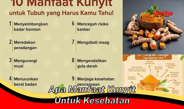 apa manfaat kunyit untuk kesehatan