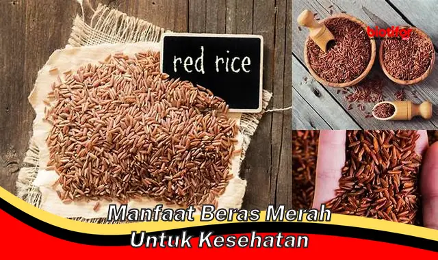 manfaat beras merah untuk kesehatan