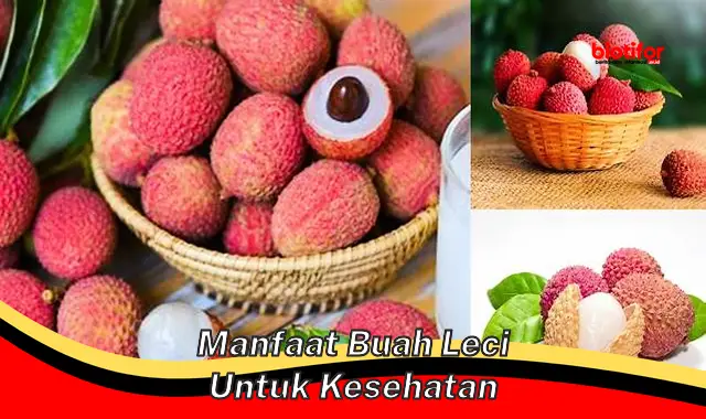 manfaat buah leci untuk kesehatan