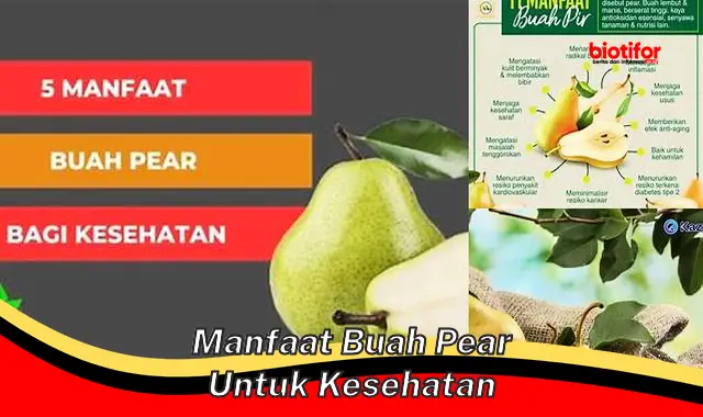 manfaat buah pear untuk kesehatan