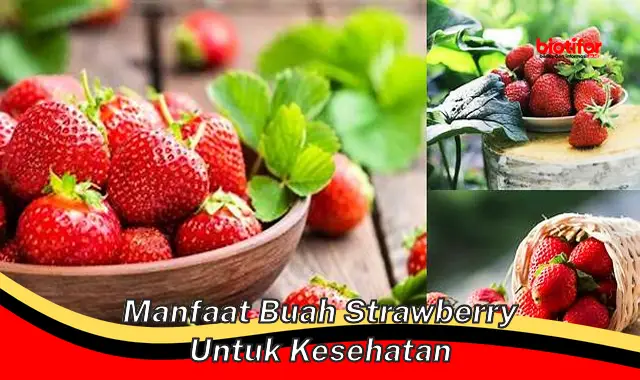 manfaat buah strawberry untuk kesehatan